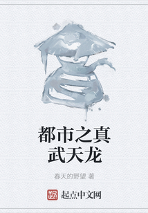 都市之真武天龍