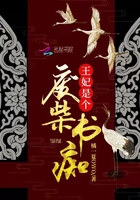 王妃是个废柴书痴在线阅读