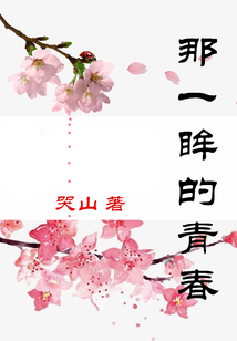 那一眸的青春
