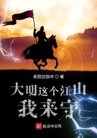 大明这个江山我来守在线阅读