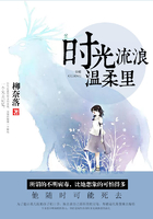 时光流浪温柔里