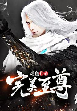 完美至尊 封面