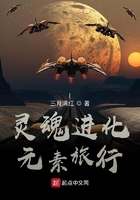 靈魂進化：元素旅行在線閱讀