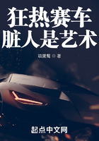狂热赛车:脏人是艺术
