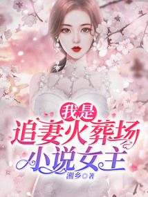 我是追妻火葬場小說女主