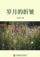 岁月的折皱在线阅读