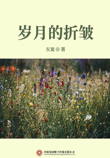 岁月的折皱