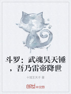 斗罗:武魂昊天锤,吾乃雷帝降世在线阅读