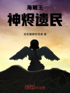 海贼王神烬遗民在线阅读