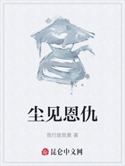 尘见恩仇在线阅读