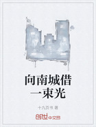 向南城借一束光在線閱讀