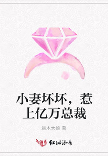 小妻壞壞,惹上億萬總裁