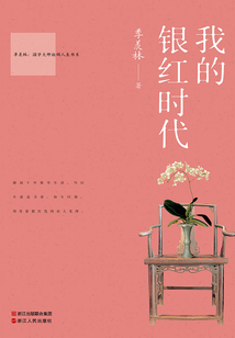 我的銀紅時代