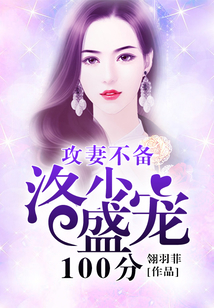 攻妻不備,洛少盛寵100分