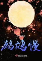 鹧鸪慢