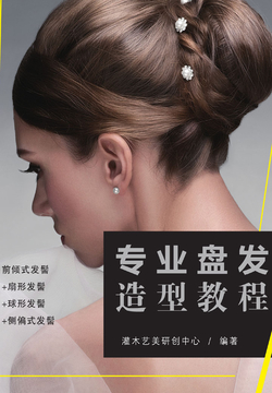 专业盘发造型教程 封面