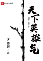 天下英雄气