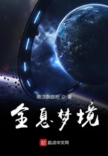 全息夢(mèng)境