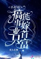 不好好搞事業(yè)只能嫁首富在線閱讀