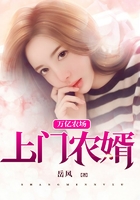 上门农婿在线阅读