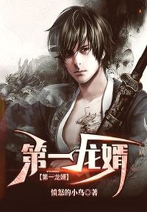 第一龍婿