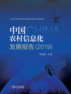 中国农村信息化发展报告（2019）在线阅读