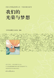 青春文學精品集萃叢書·年輕的我們系列:我們的光榮與夢想