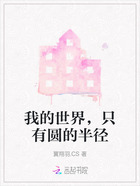 我的世界,只有圆的半径在线阅读