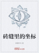 磚縫里的坐標在線閱讀