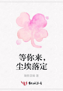 等你來,塵埃落定