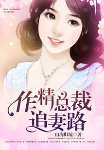 作精總裁追妻路