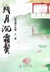 殘月沉霜鬢