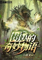 树妖的奇妙物语在线阅读