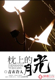 枕上的月光
