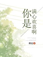 你是滿心歡喜啊在線閱讀