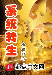 系統(tǒng)轉(zhuǎn)生