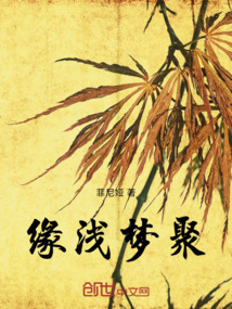 緣淺夢聚
