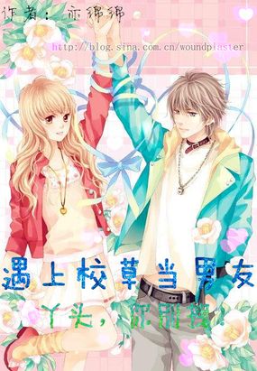 顾岚生栖在线阅读