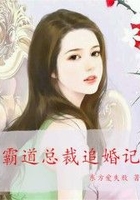 霸道总裁追婚记