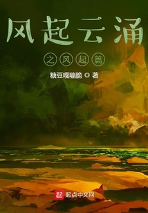 風(fēng)起云涌之風(fēng)起篇