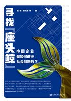 寻找“座头鲸”：中国企业是如何进行社会创新的？在线阅读