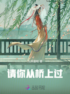 请你从桥上过在线阅读