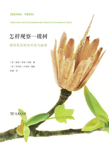 怎樣觀察一棵樹