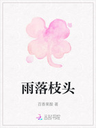 雨落枝头在线阅读