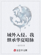 域外入侵,我继承华夏暗脉在线阅读