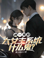 我一男的,大女主系统什么鬼?在线阅读
