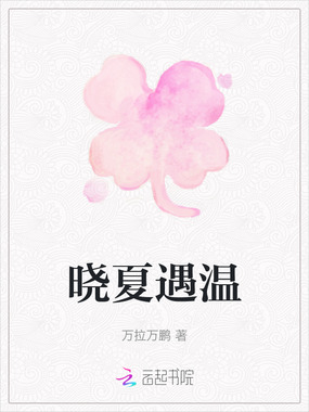 晓夏遇温在线阅读