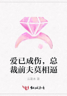 爱已成伤,总裁前夫莫相逼