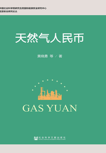 天然氣人民幣（能源安全研究論叢）