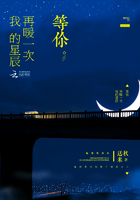 等你再暖一次我的星辰在线阅读